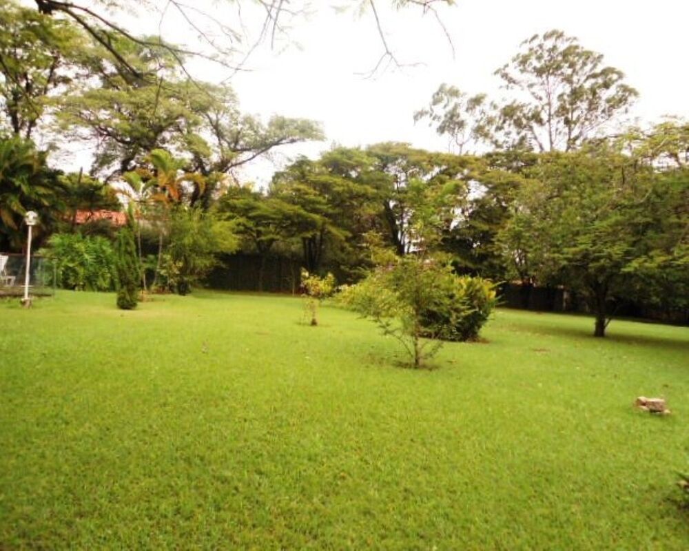 Chácara, 4 quartos - Foto 2