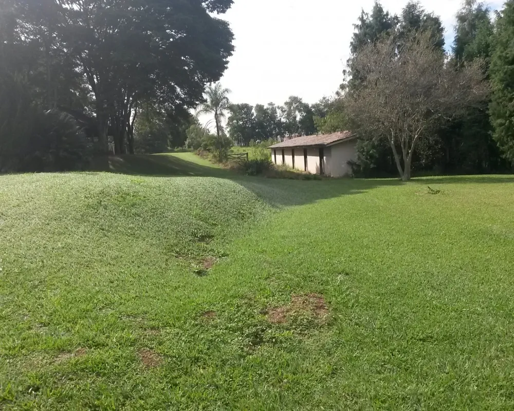 Casa, 7 quartos, 1500 m² - Foto 5