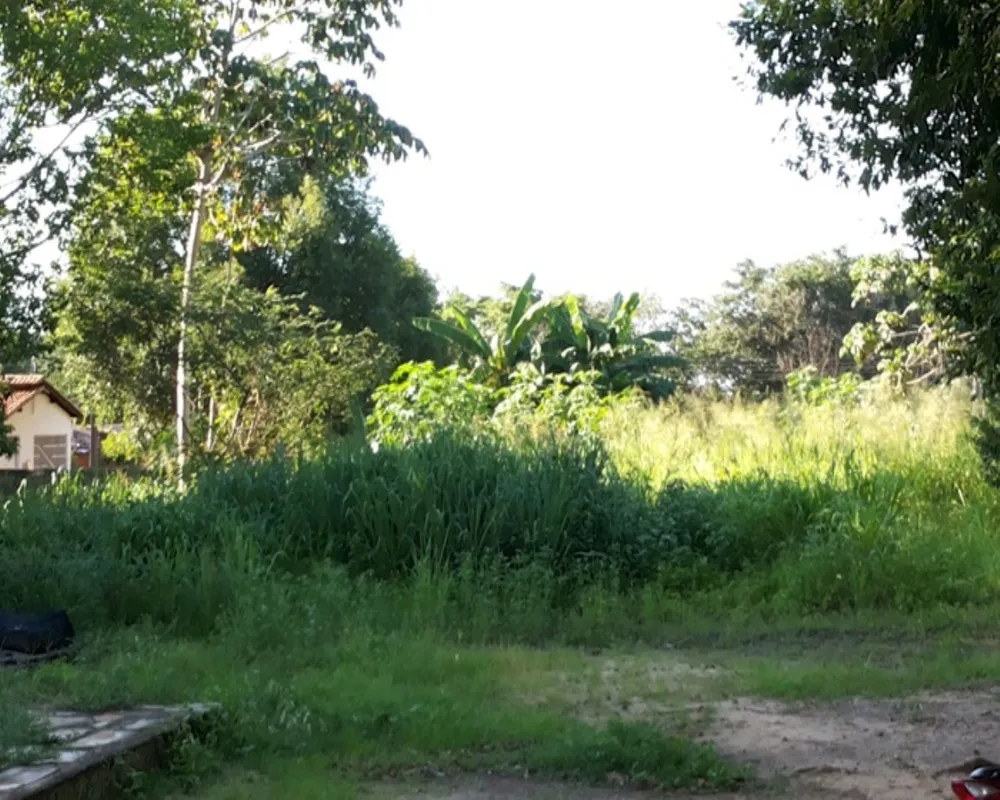 Terreno, 7000 m² - Foto 1