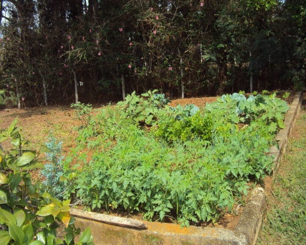 Casa, 5 quartos, 550 m² - Foto 24