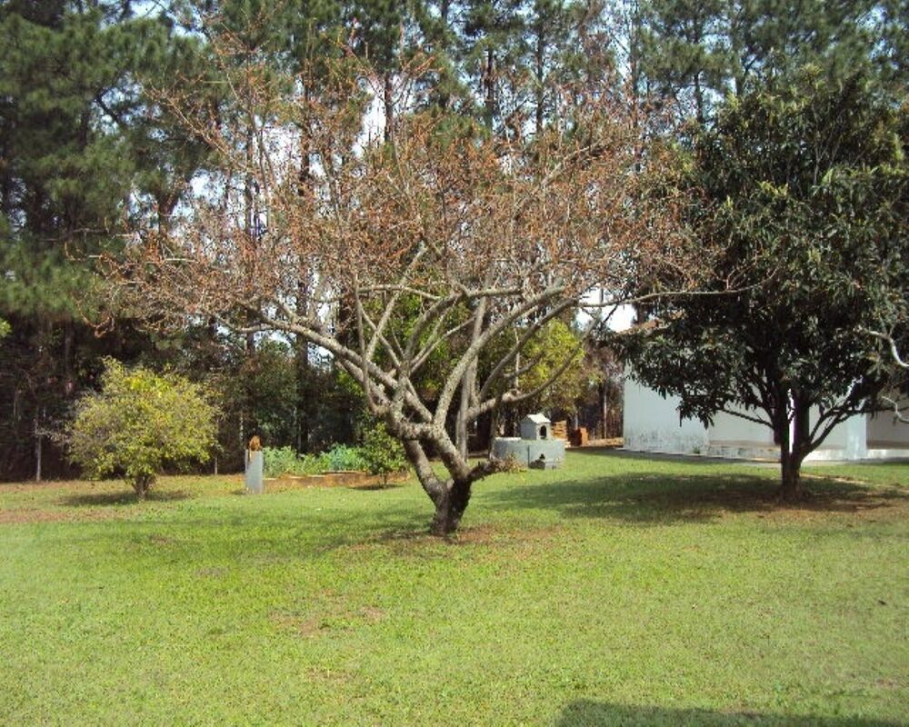 Casa, 5 quartos, 550 m² - Foto 23