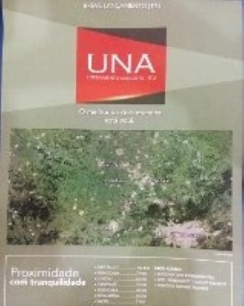 Terreno - Foto 4