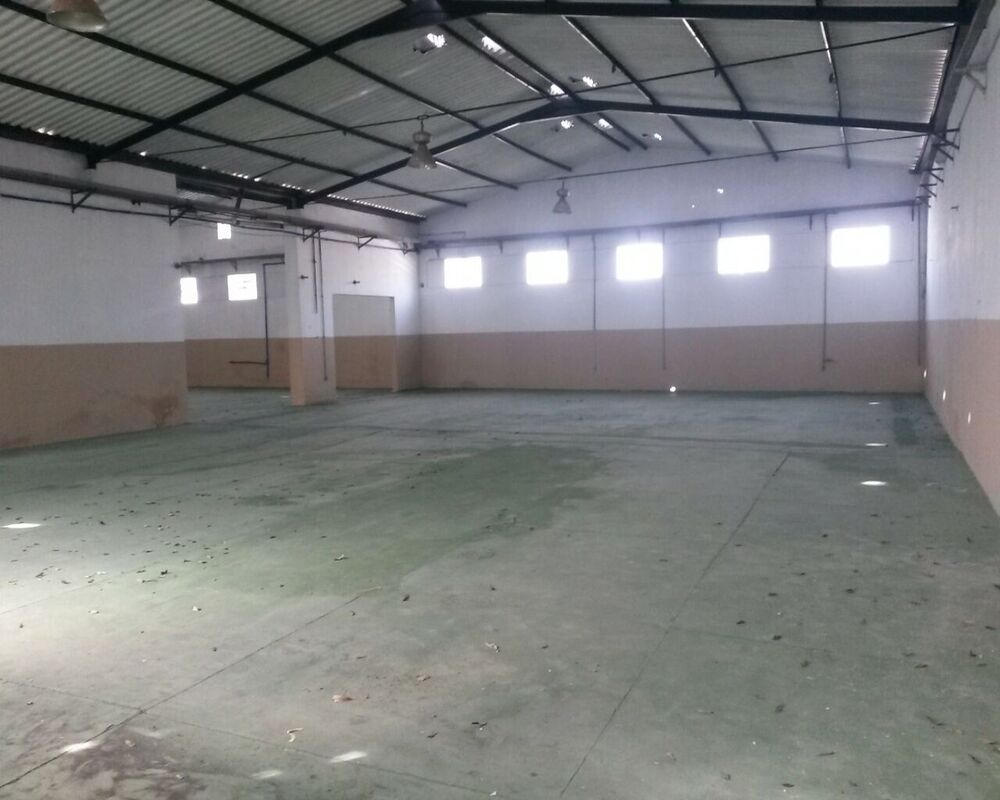 Depósito-Galpão, 1000 m² - Foto 2