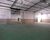 Depósito-Galpão, 1000 m² - Foto 4