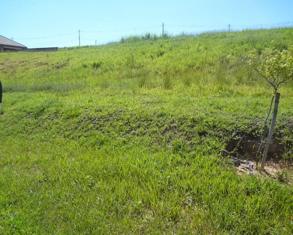 Terreno - Foto 3