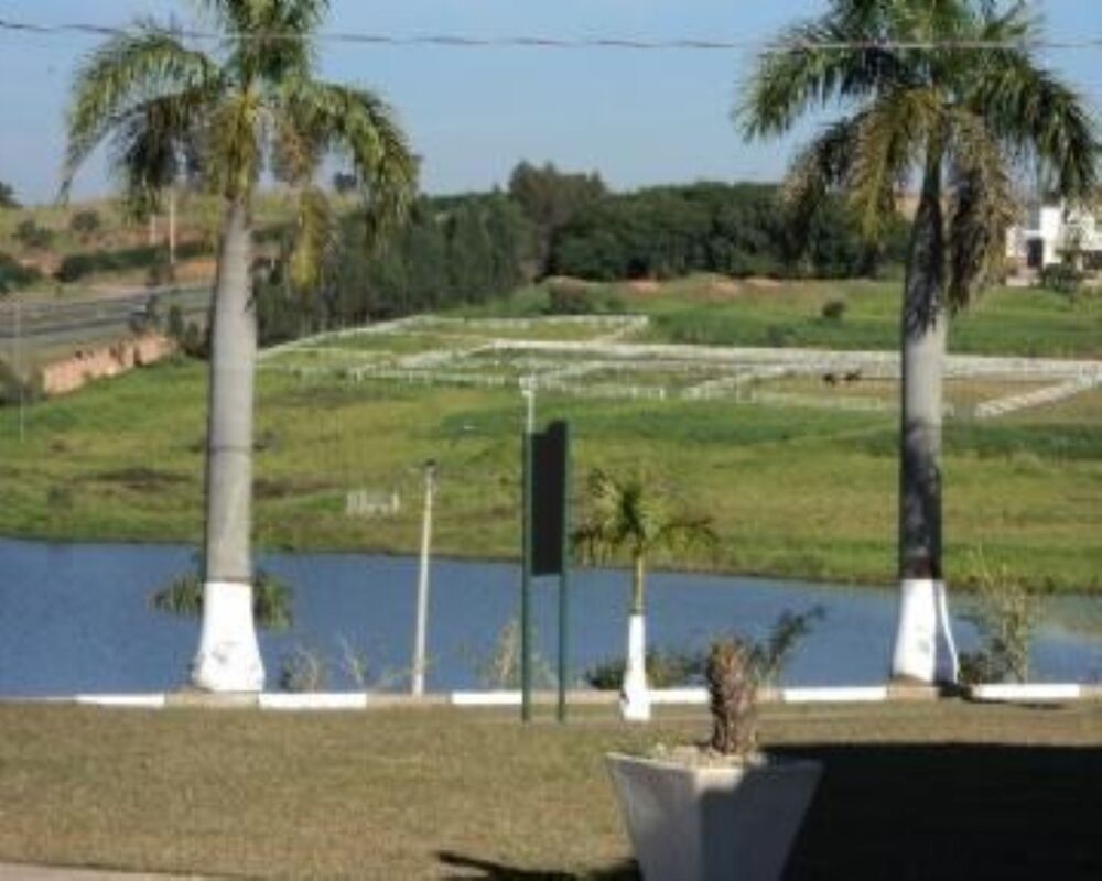 Terreno - Foto 2
