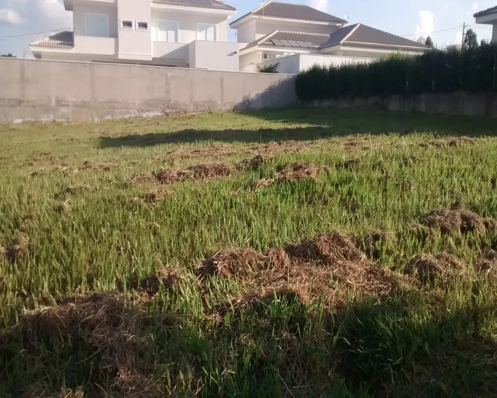 Terreno, 800 m² - Foto 4