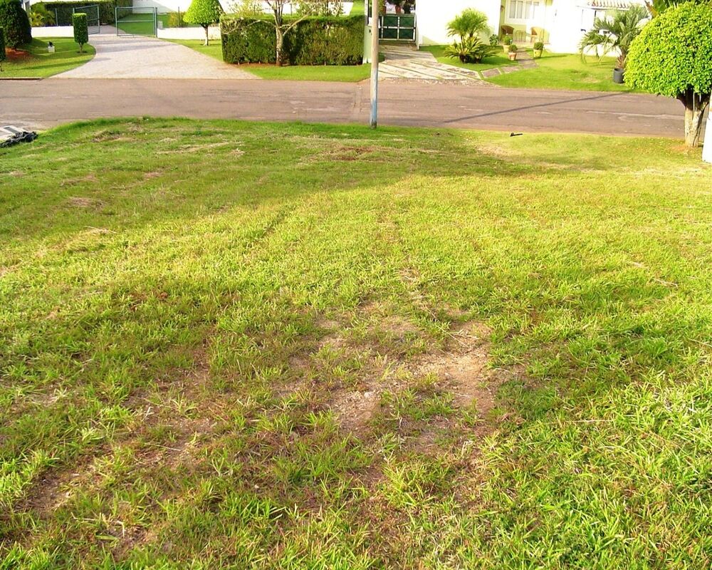 Terreno - Foto 2