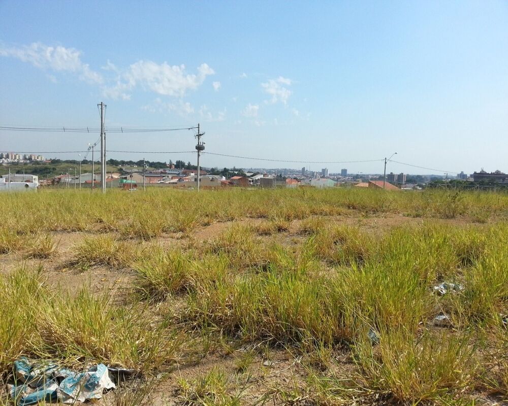 Terreno - Foto 1