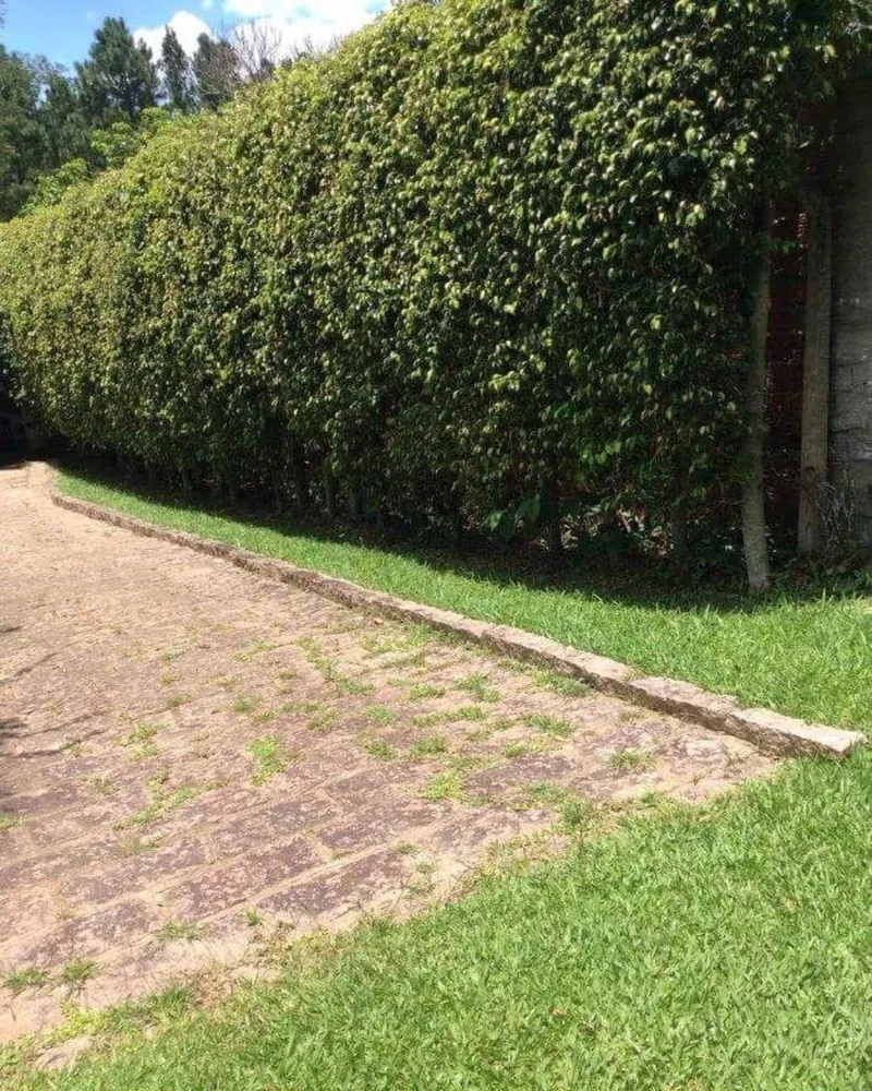 Chácara, 3 quartos - Foto 1