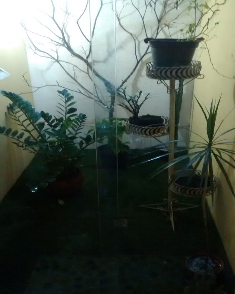 Casa, 3 quartos, 120 m² - Foto 7