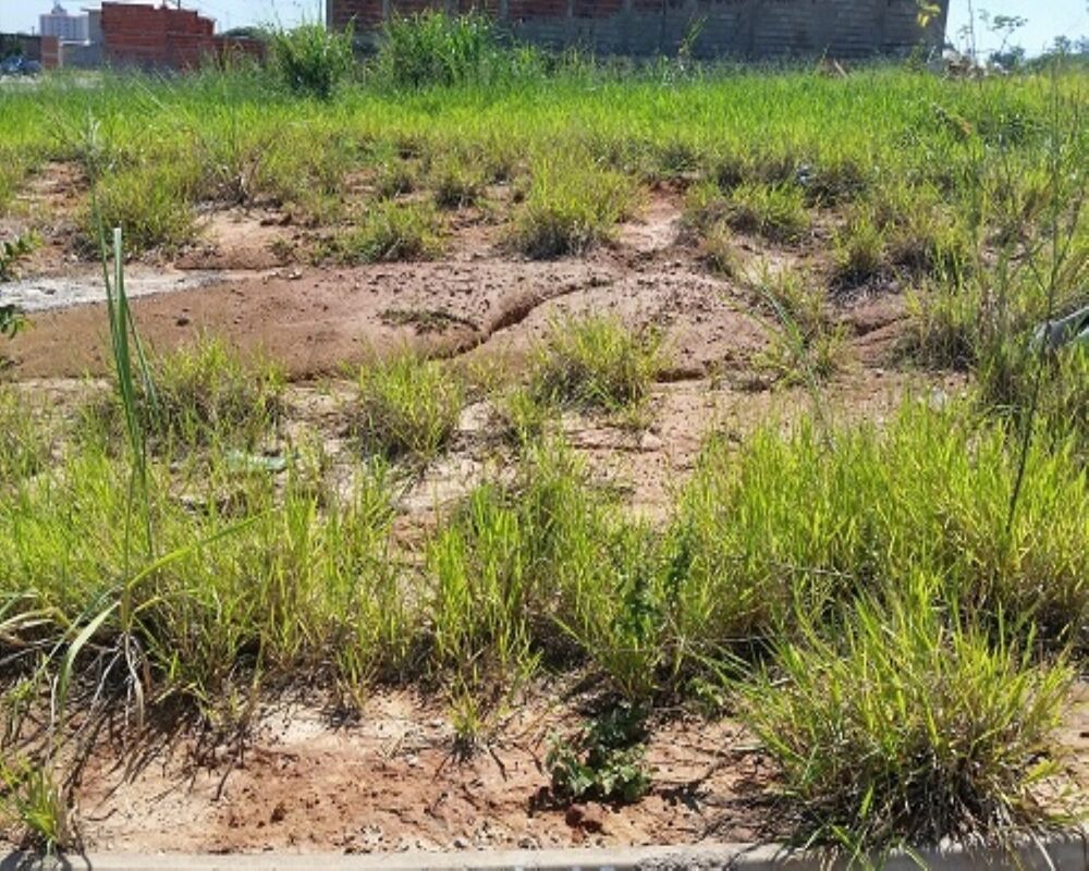 Terreno - Foto 3