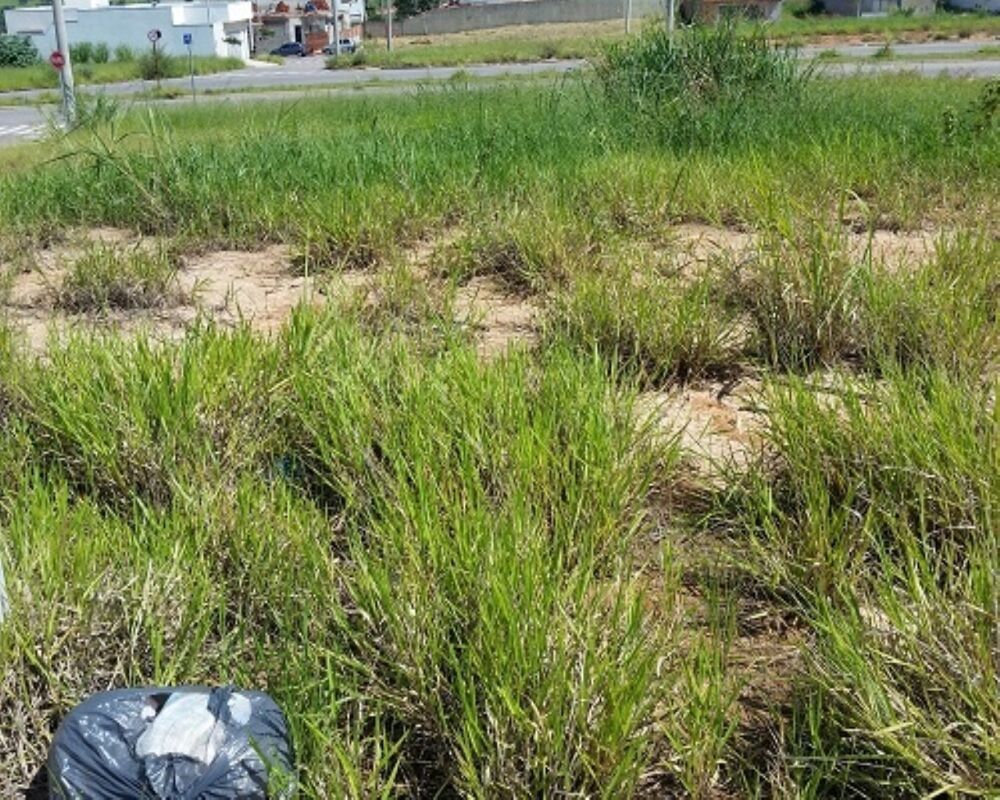 Terreno - Foto 1