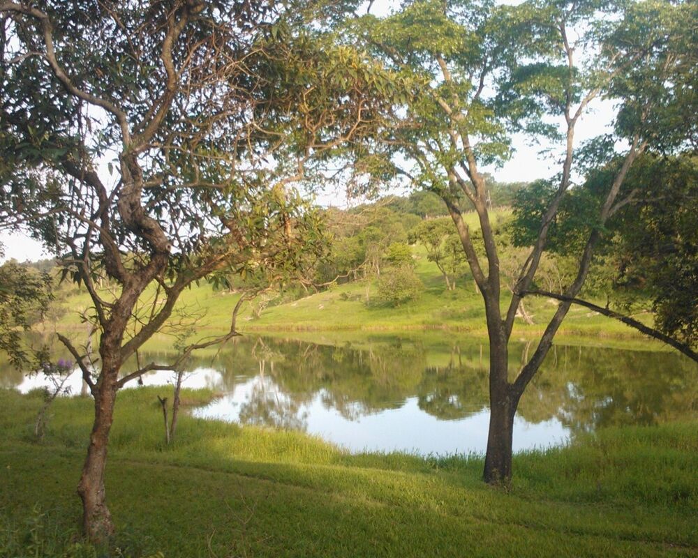 Chácara - Foto 14