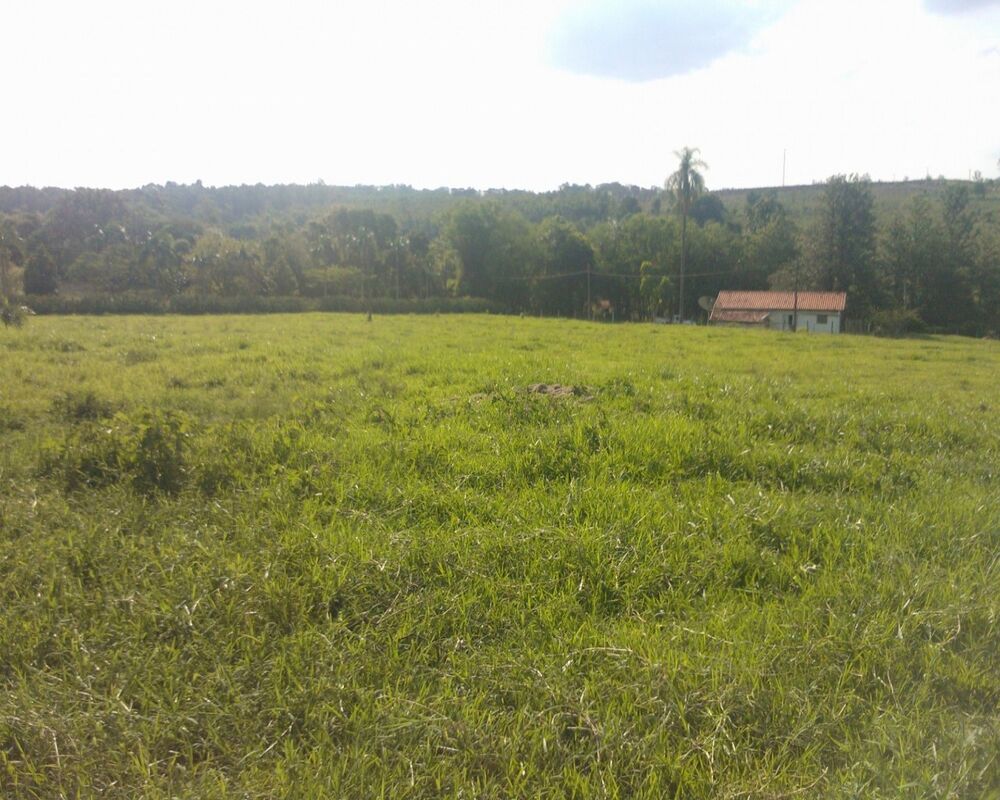 Chácara - Foto 7