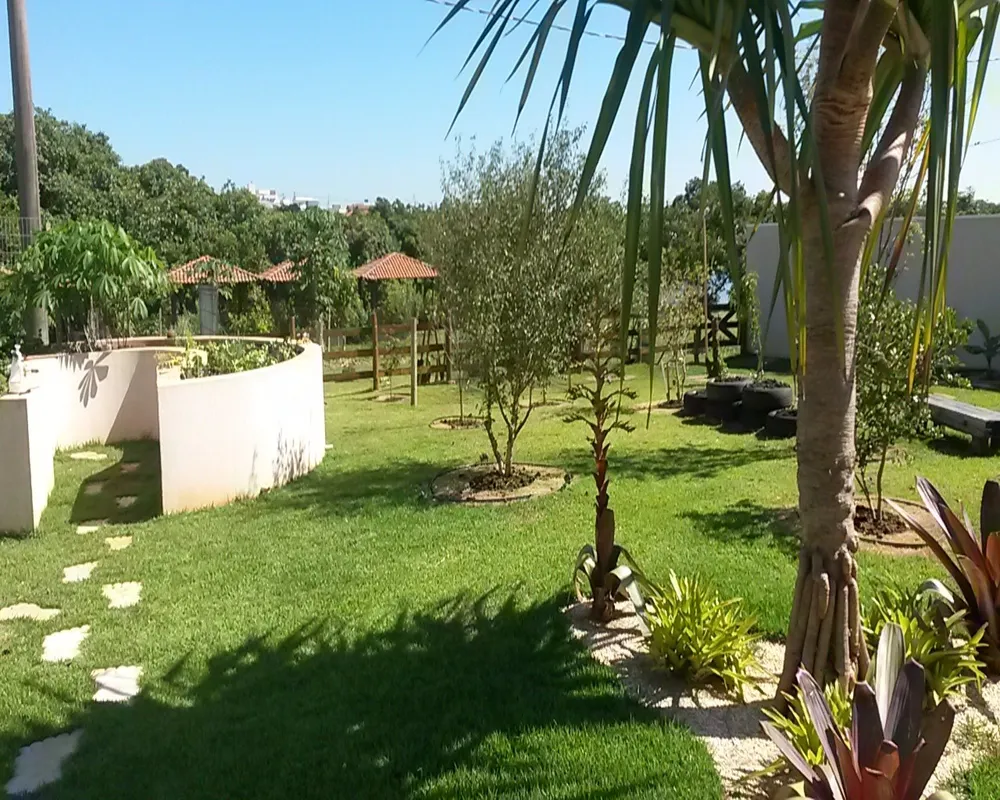 Casa, 3 quartos, 500 m² - Foto 4