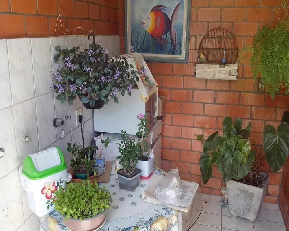 Casa, 4 quartos, 300 m² - Foto 3