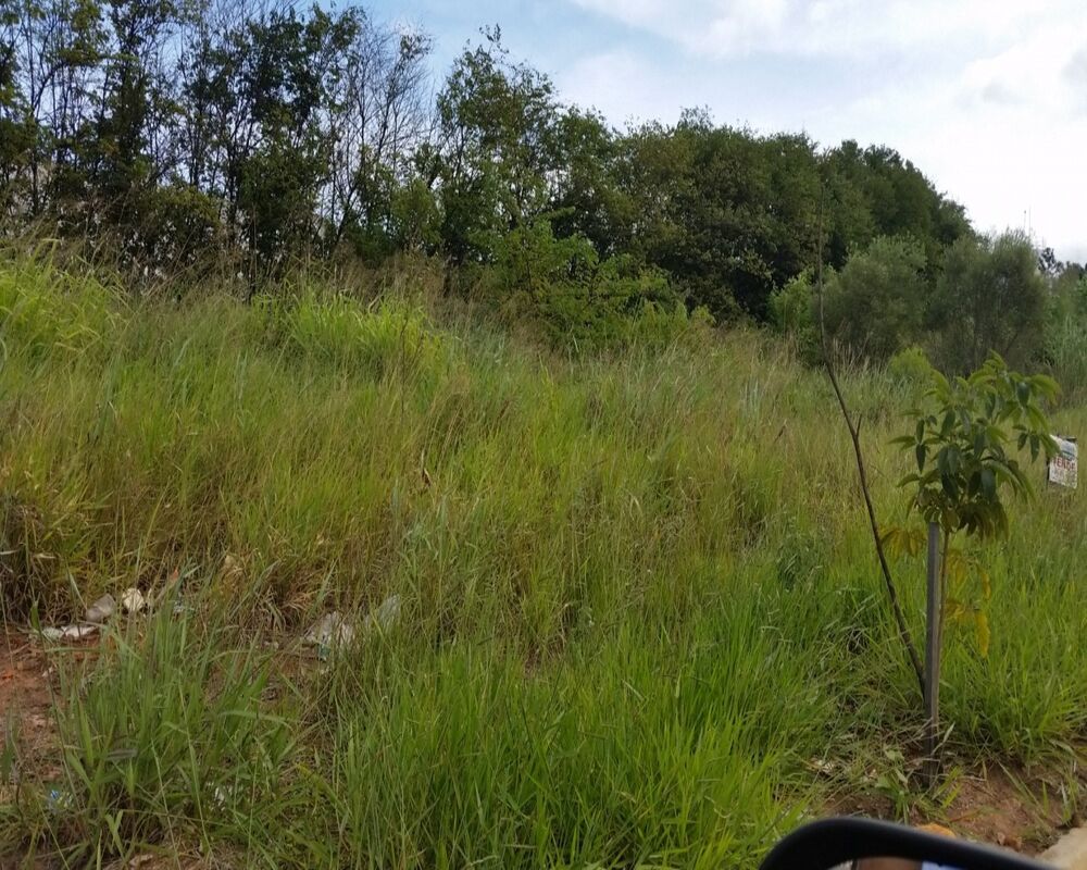 Terreno - Foto 1