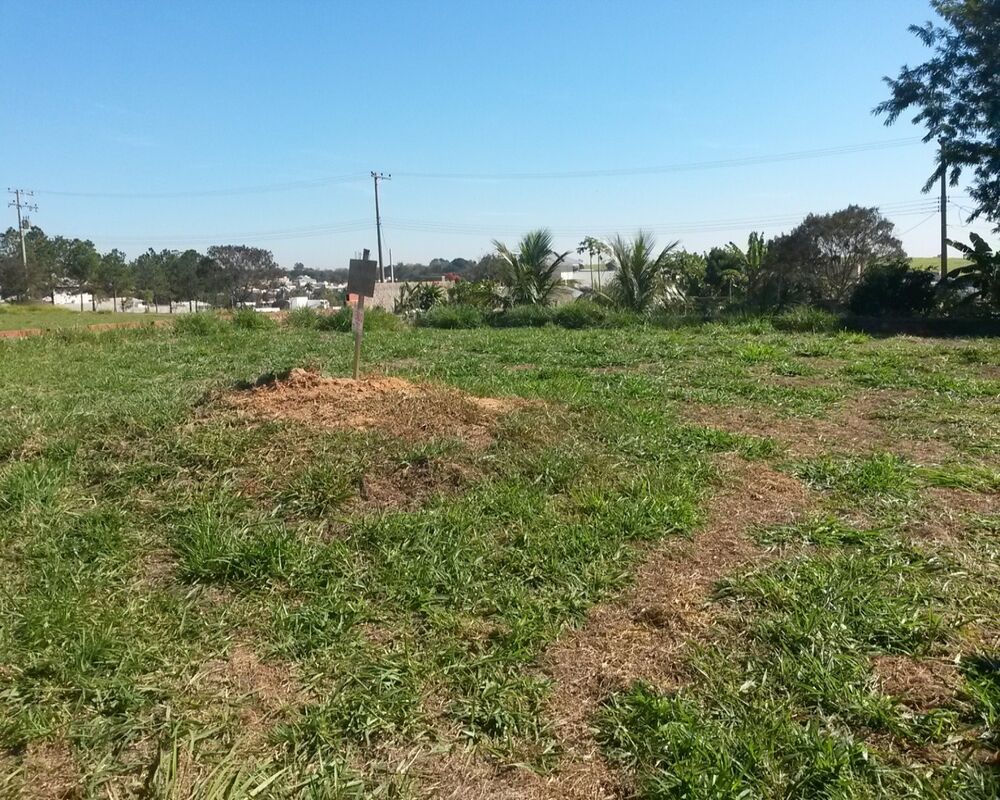 Terreno - Foto 2