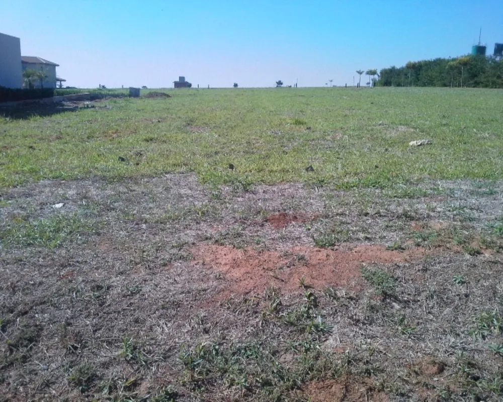 Terreno - Foto 2