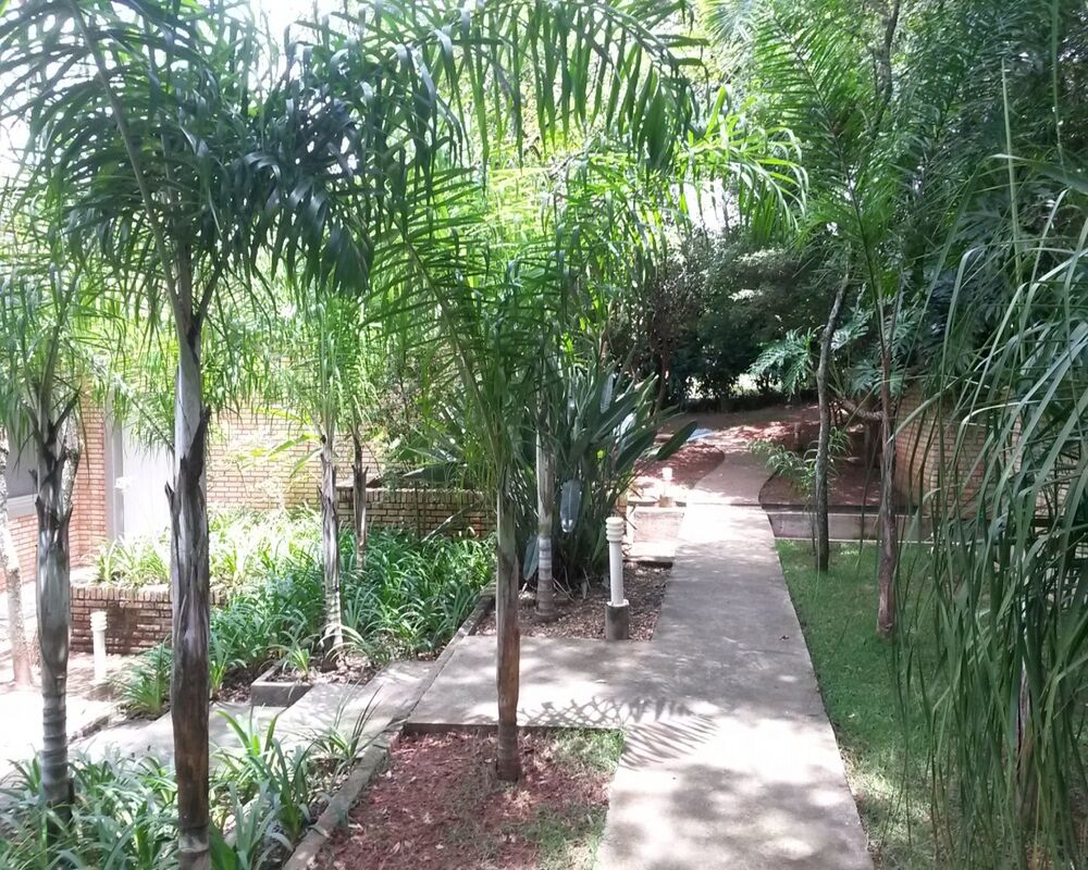 Casa, 4 quartos - Foto 5
