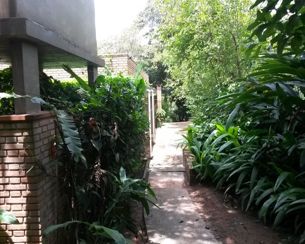 Casa, 4 quartos - Foto 12