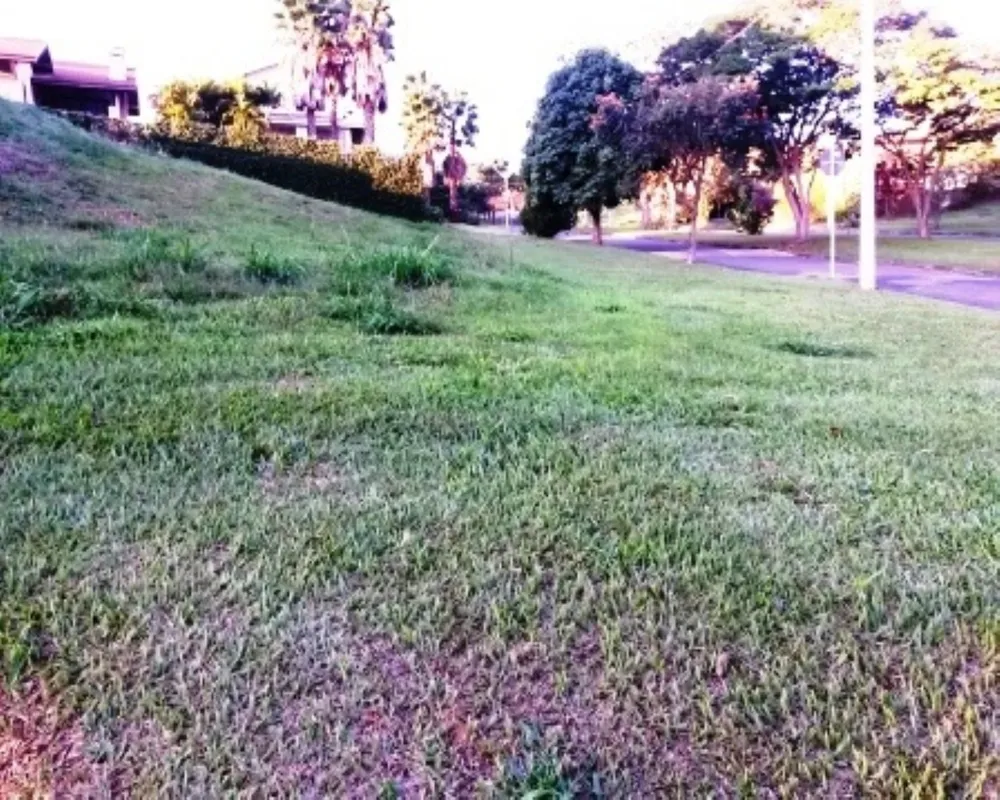 Terreno - Foto 3