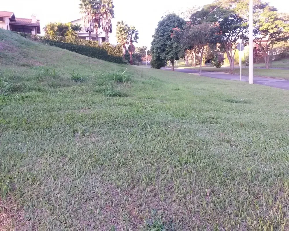 Terreno - Foto 1
