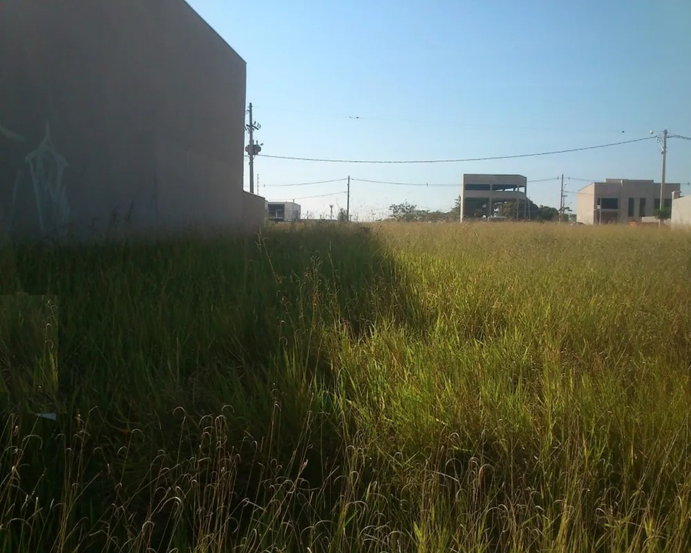 Terreno - Foto 3
