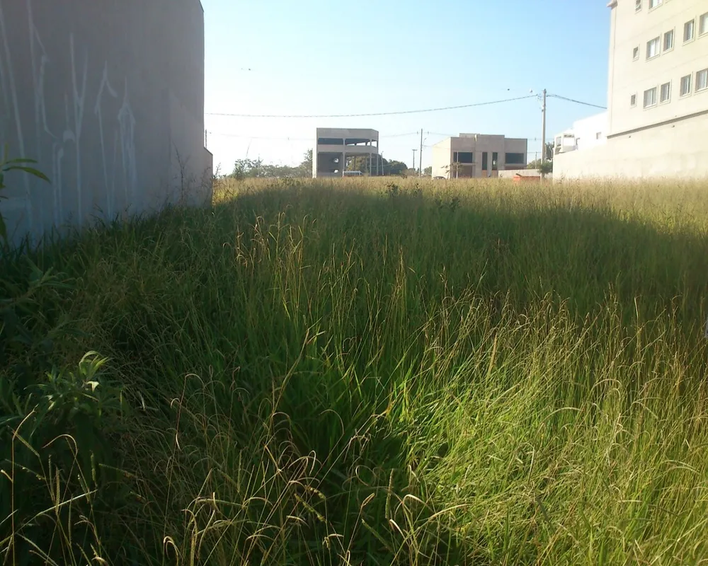 Terreno - Foto 2