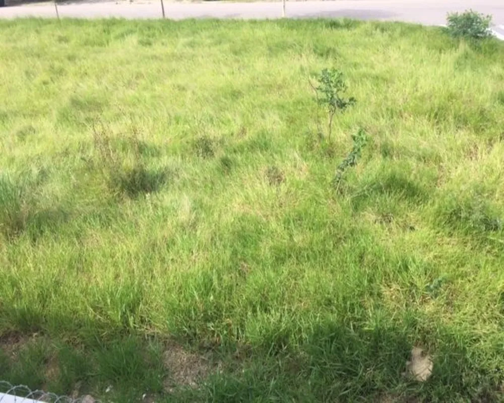 Terreno - Foto 1