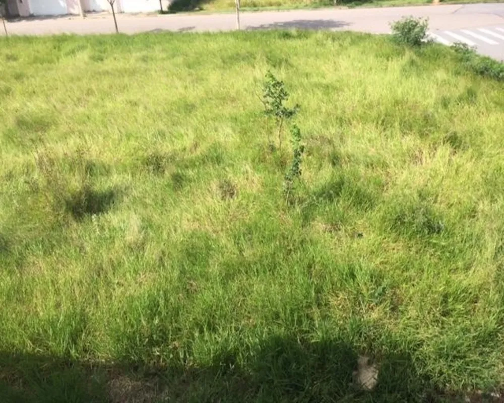 Terreno - Foto 2