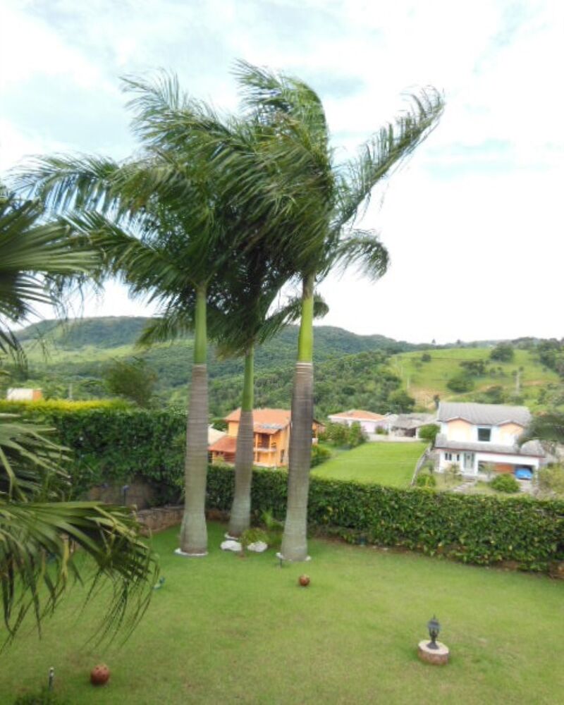 Casa, 3 quartos, 540 m² - Foto 36