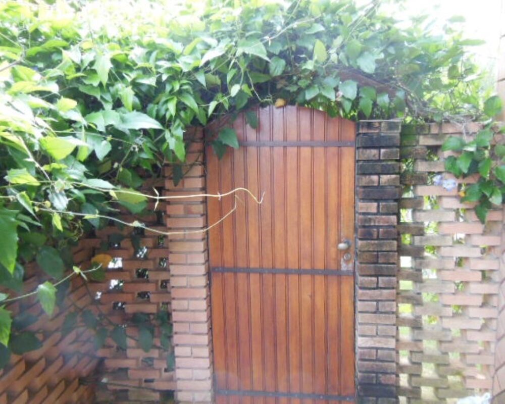 Casa, 3 quartos, 540 m² - Foto 3