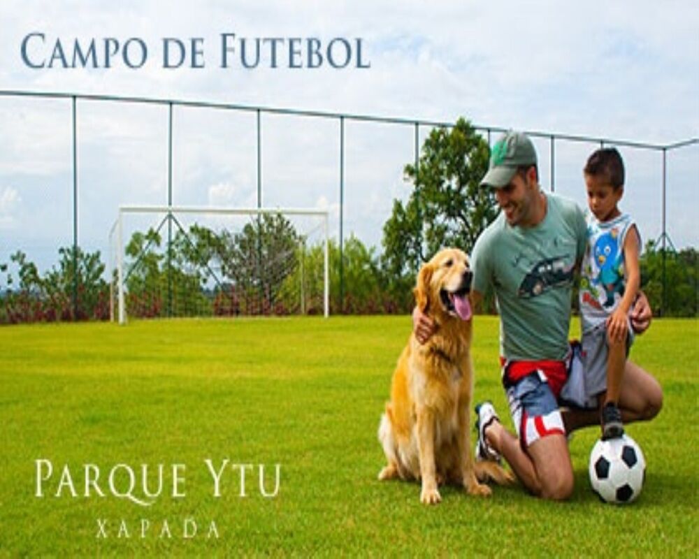Terreno - Foto 6