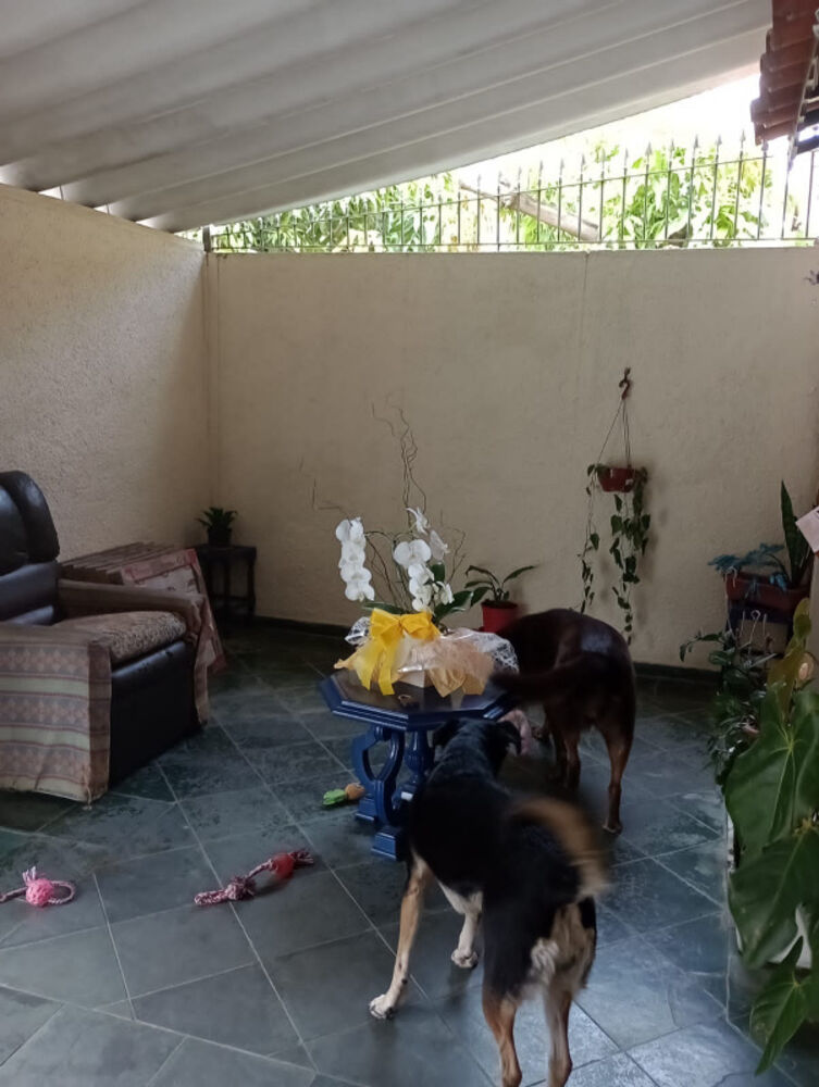 Casa, 2 quartos - Foto 28