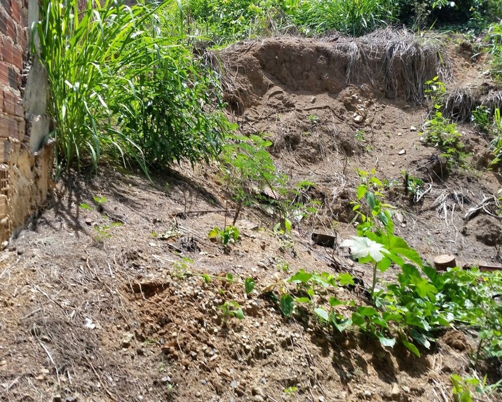 Terreno - Foto 2