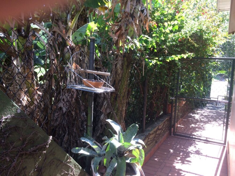 Casa, 4 quartos - Foto 5