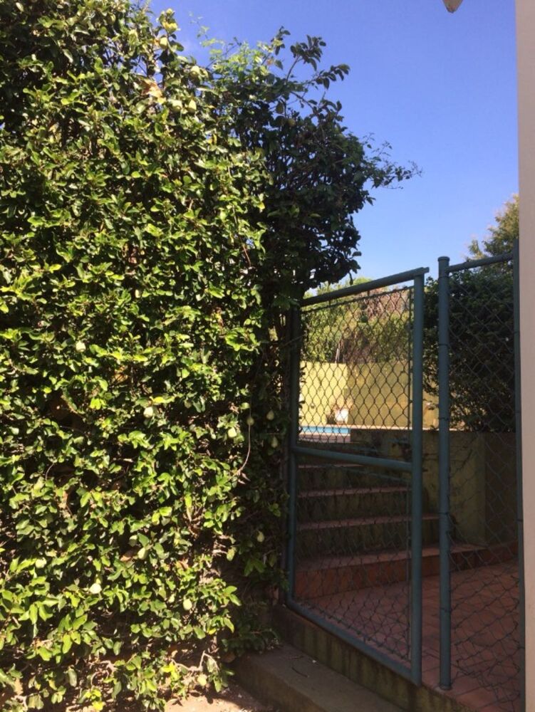 Casa, 4 quartos - Foto 11