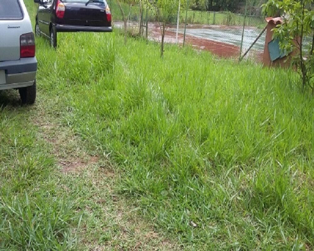 Terreno, 5300 m² - Foto 2