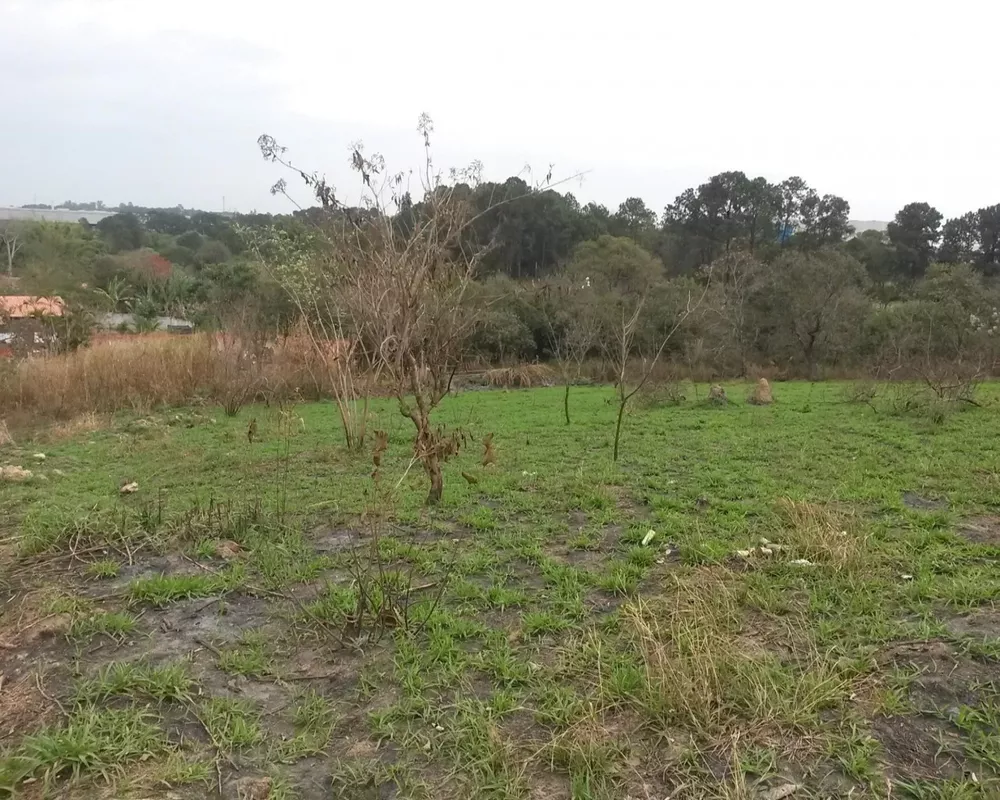 Terreno à venda - Foto 4