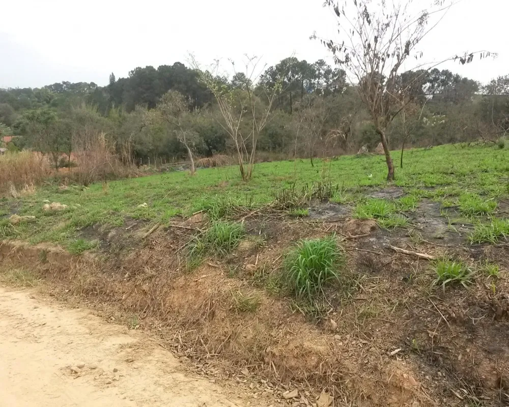 Terreno - Foto 6