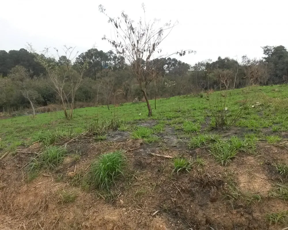 Terreno - Foto 5