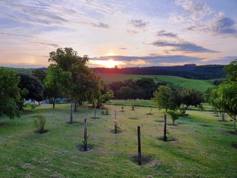 Sítio, 3 quartos, 7 hectares - Foto 4