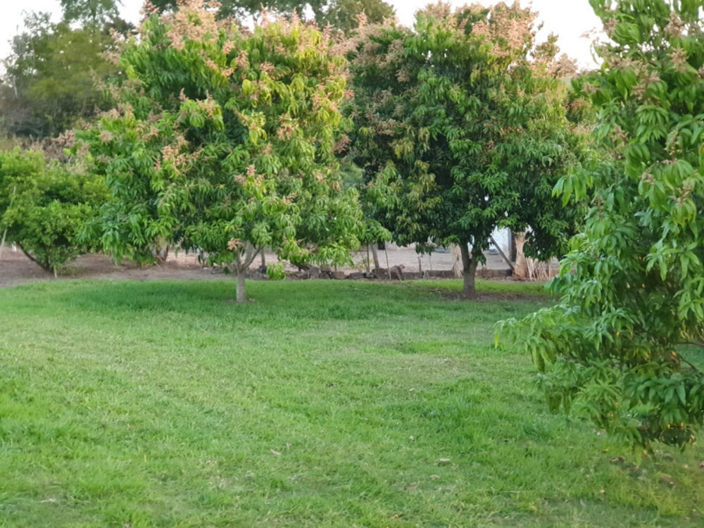 Sítio, 3 quartos, 7 hectares - Foto 19