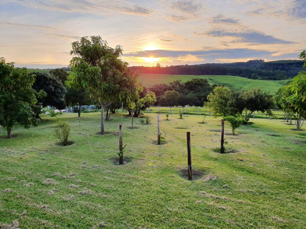 Sítio, 3 quartos, 7 hectares - Foto 7