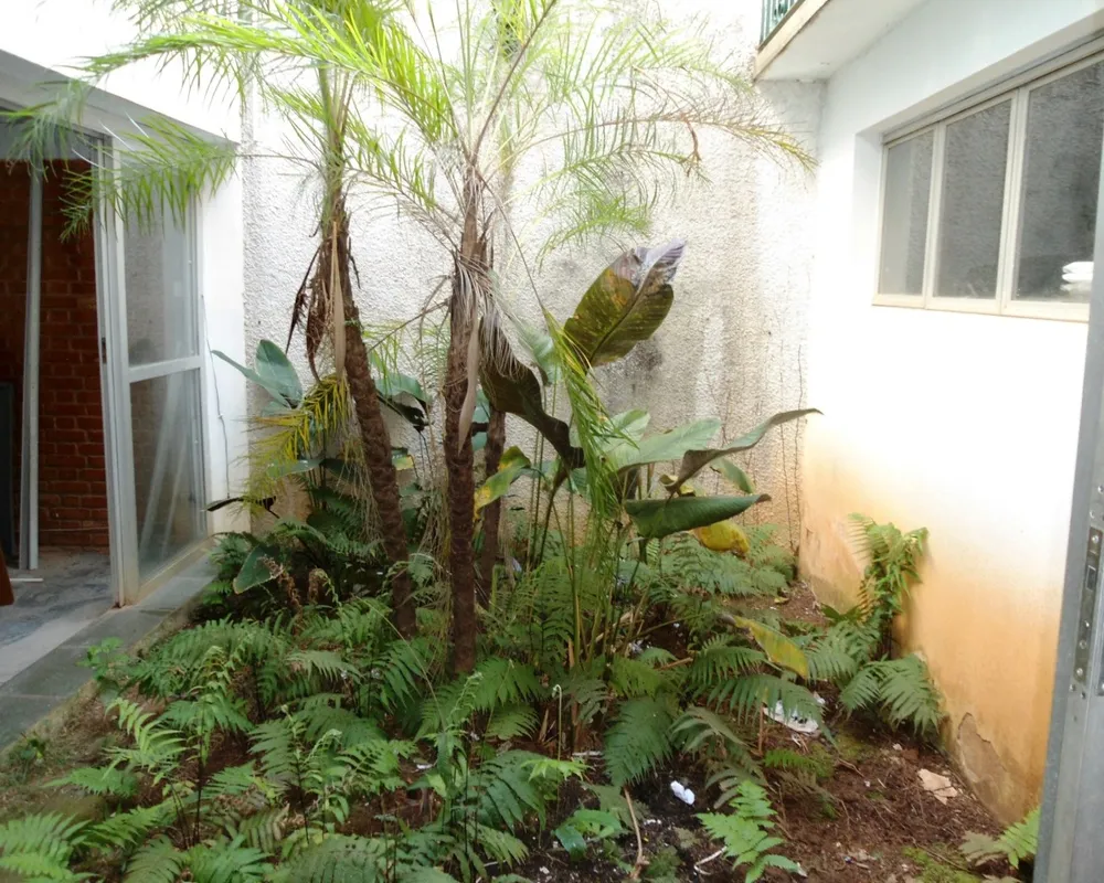 Casa, 4 quartos, 275 m² - Foto 7