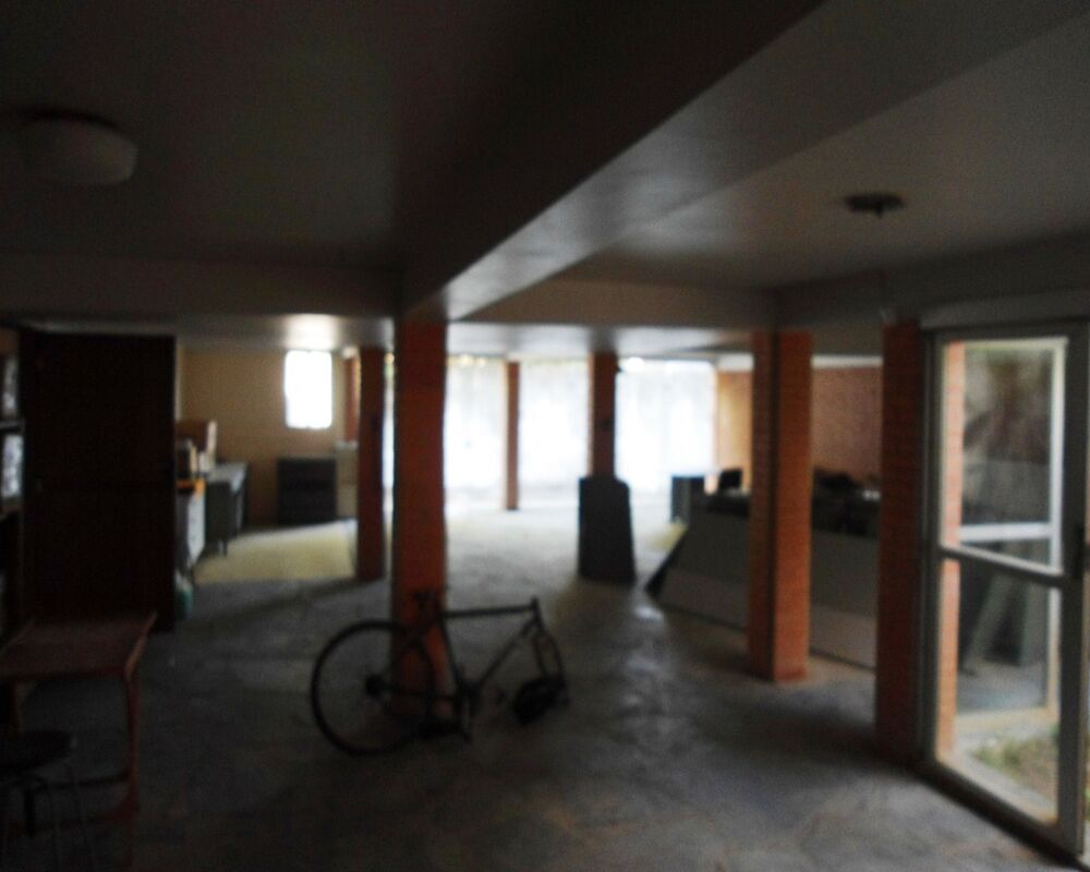 Casa, 4 quartos, 275 m² - Foto 4