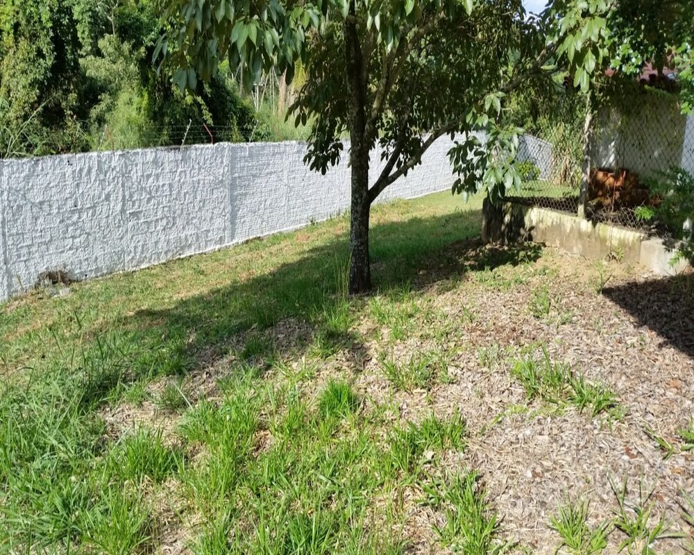 Casa, 4 quartos, 175 m² - Foto 4