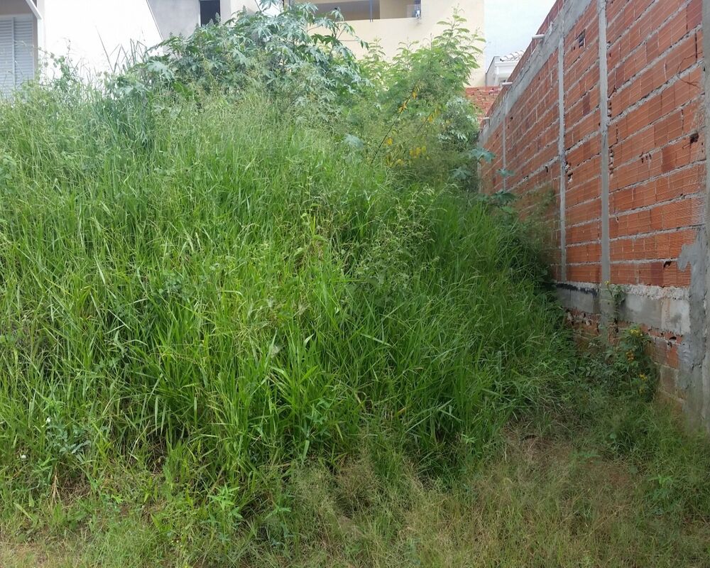 Terreno, 200 m² - Foto 1